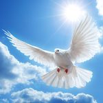 dove 1
