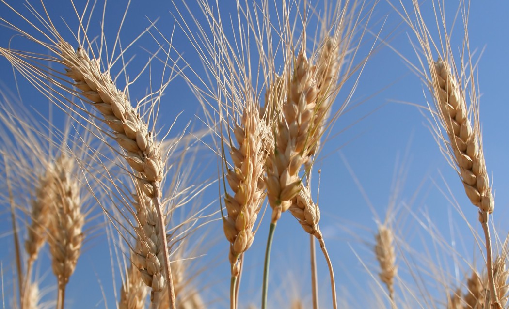 Obituaries - Heritage Funeral Complex