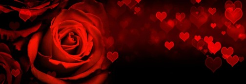 Rose rouge
