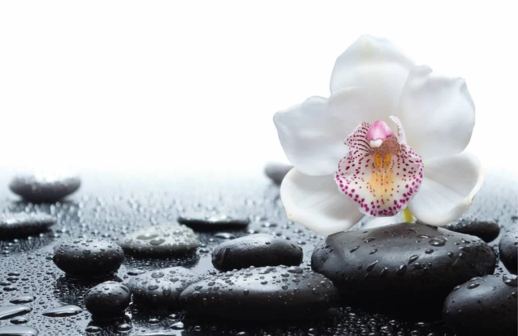 behang-met-een-witte-orchidee_9