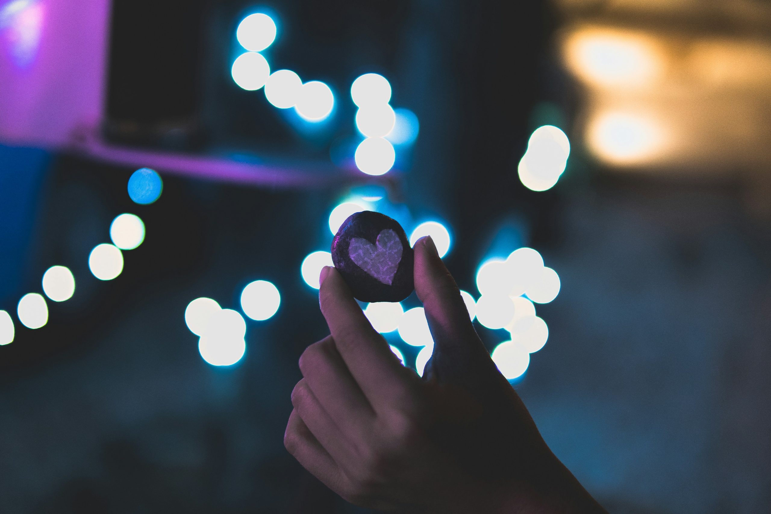brannon-naito-MajTMZ5DHho-unsplash