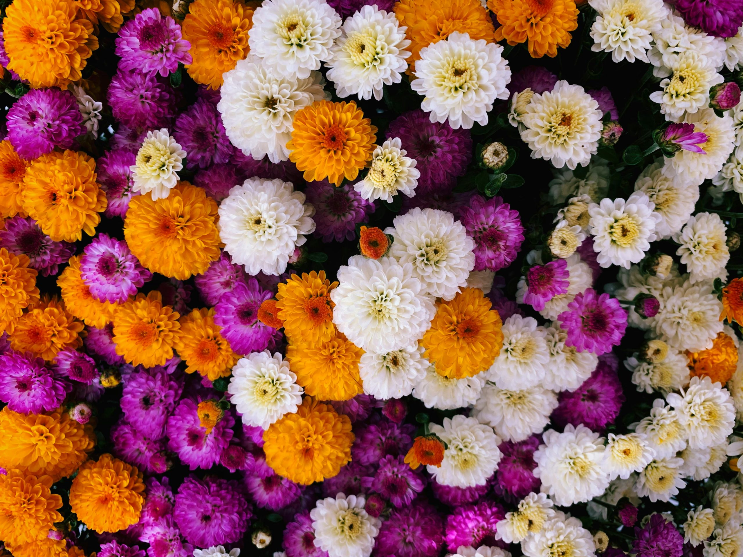 jason-weingardt-WsXzDMZVtrM-unsplash