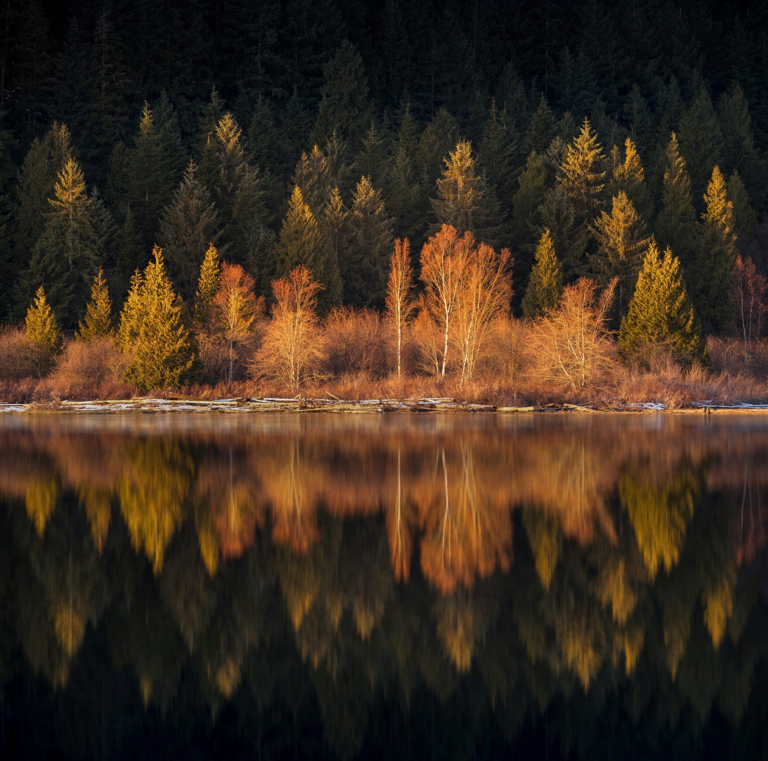 yy-h-nU4YvCaDb4Y-unsplash