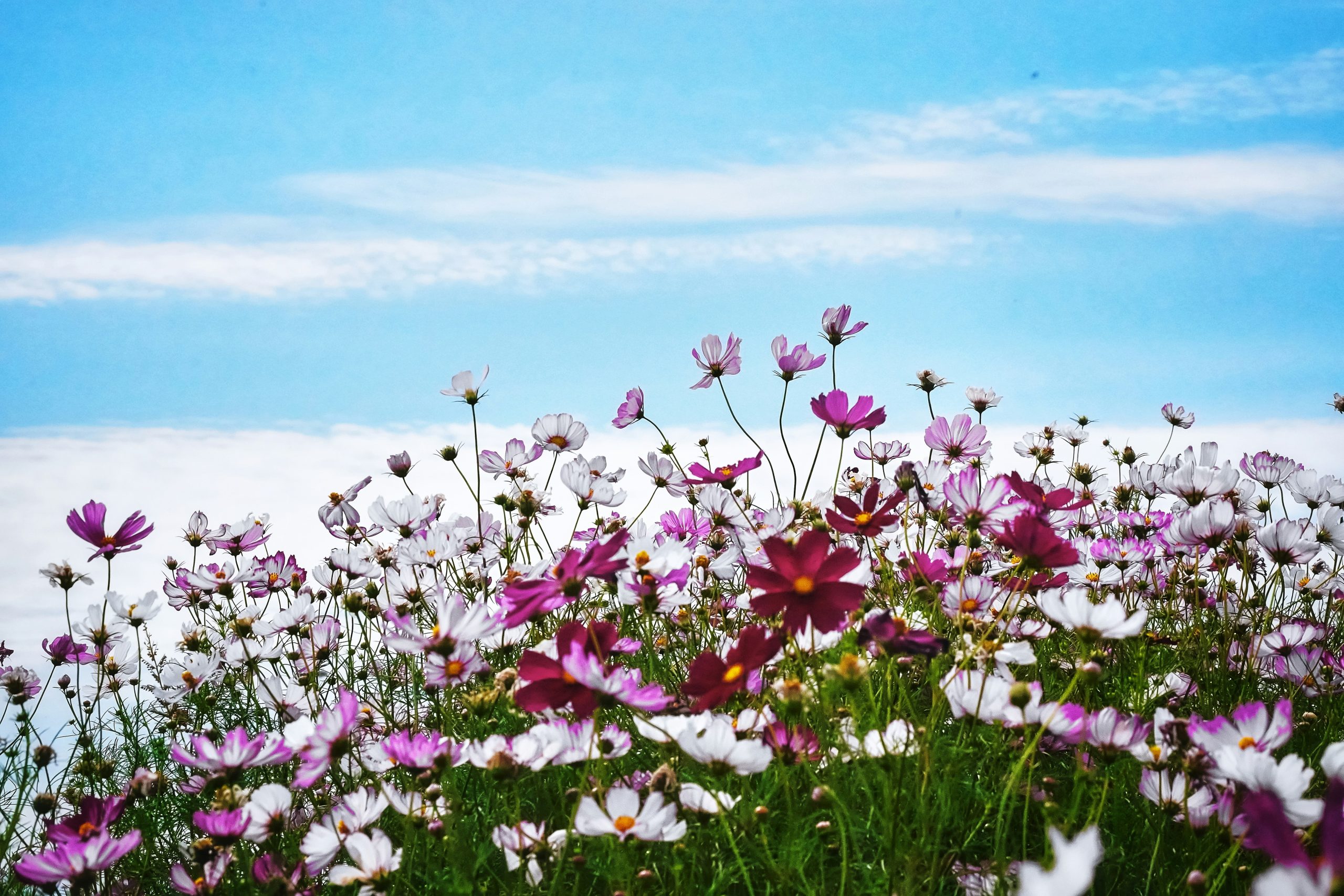 ks-kyung-I3EPtTbDArs-unsplash